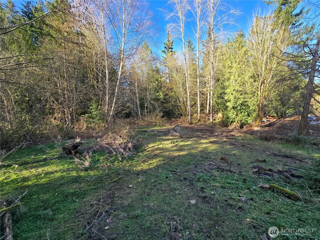 16827 24th Place NE Snohomish WA 98290