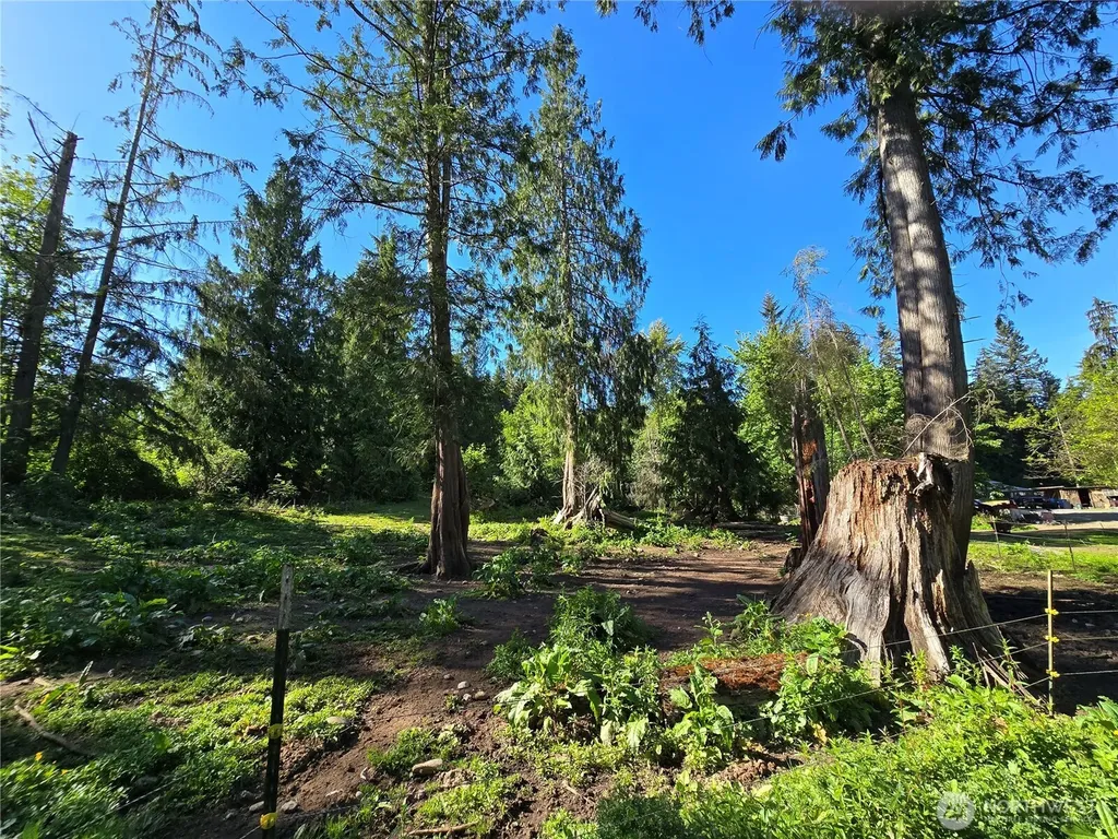 16827 24th Place NE Snohomish WA 98290