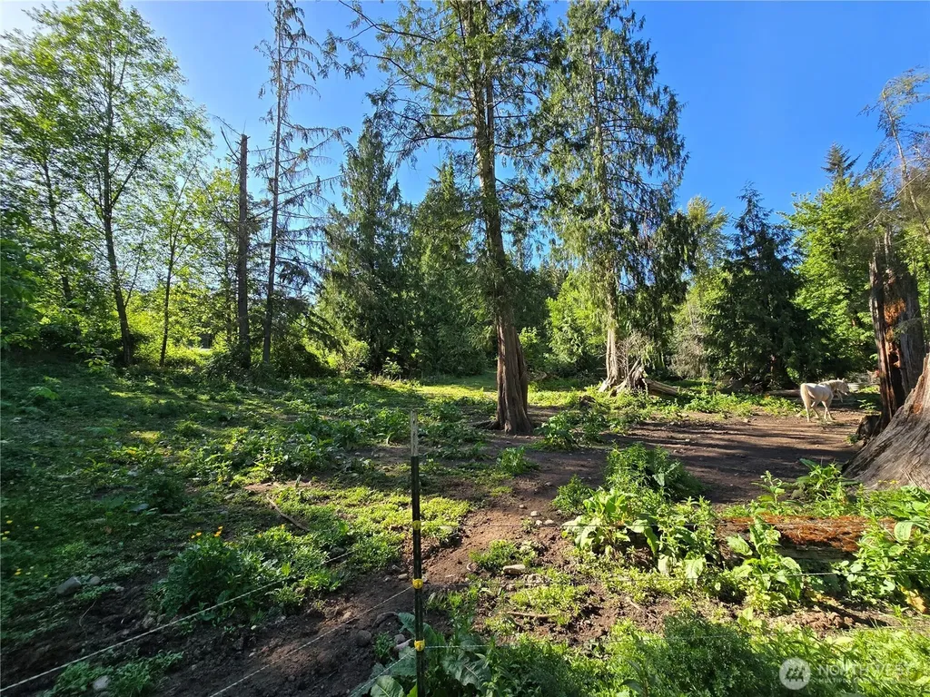 16827 24th Place NE Snohomish WA 98290