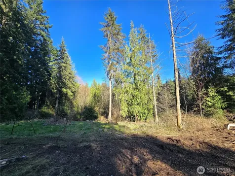 16827 24th Place NE Snohomish WA 98290