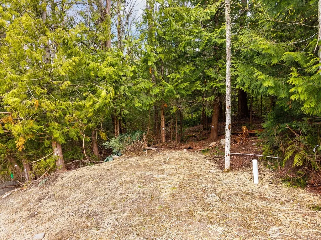 813 41st Bellingham WA 98229