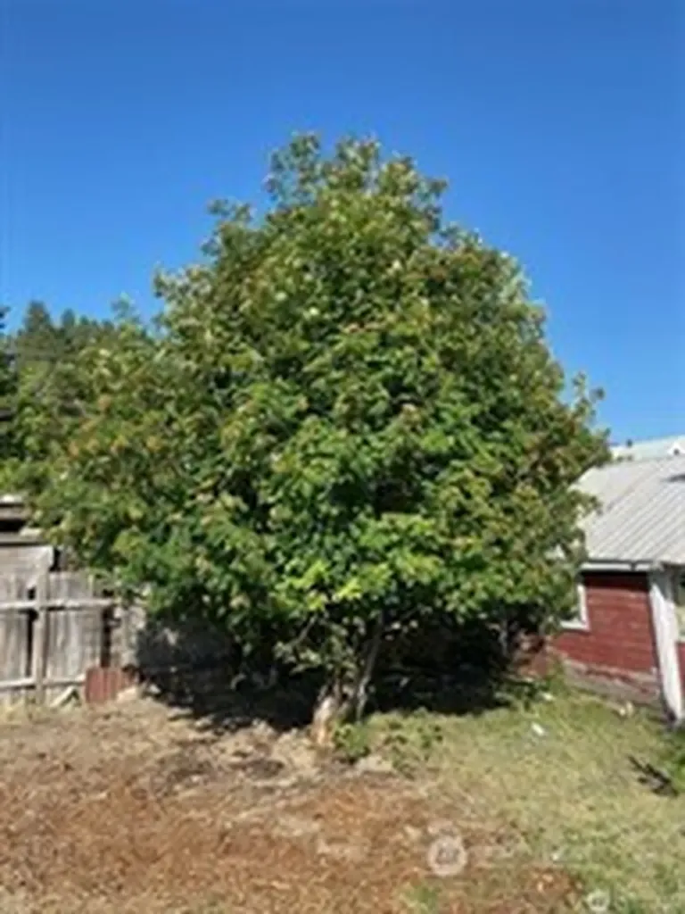 200 E Arizona Avenue Roslyn WA 98941