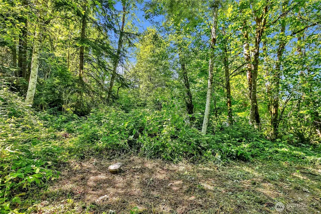 28215 SE 216th Street Maple Valley WA 98038