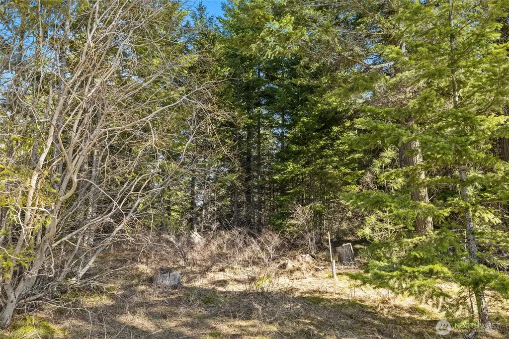 78 Forest Ridge (Lot 78) Drive Cle Elum WA 98922