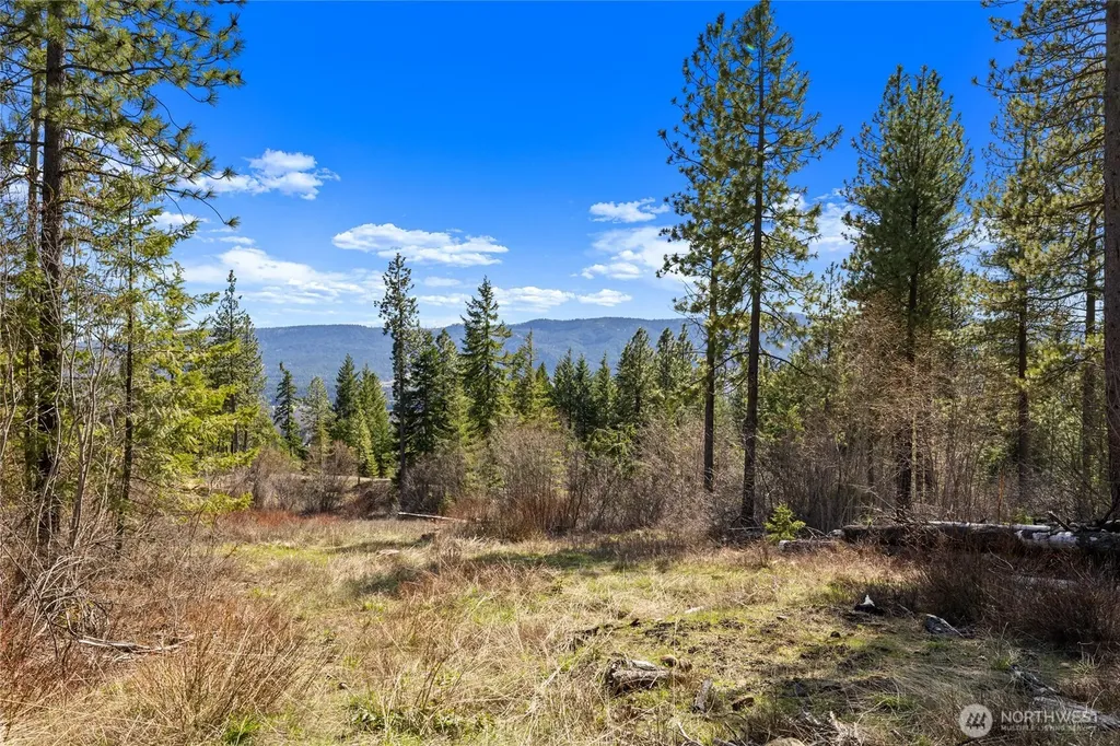 6 Forest Ridge (Lot 6) Drive Cle Elum WA 98922