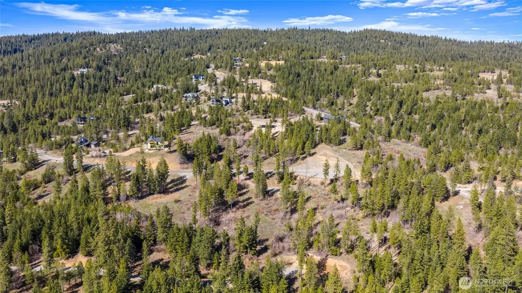 6 Forest Ridge (Lot 6) Drive Cle Elum WA 98922