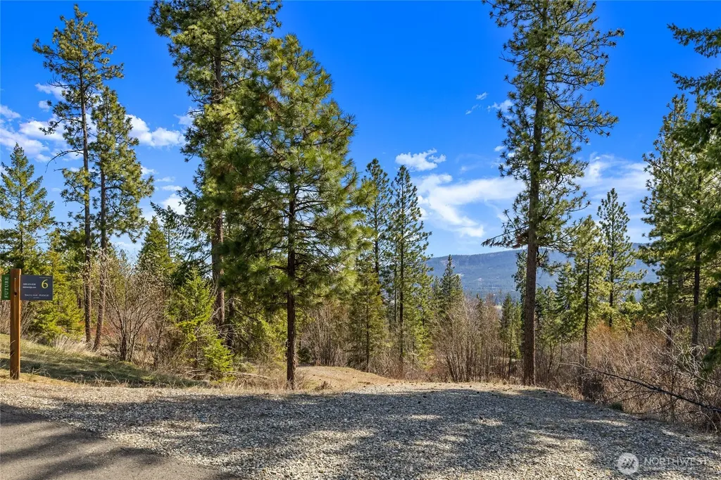 6 Forest Ridge (Lot 6) Drive Cle Elum WA 98922