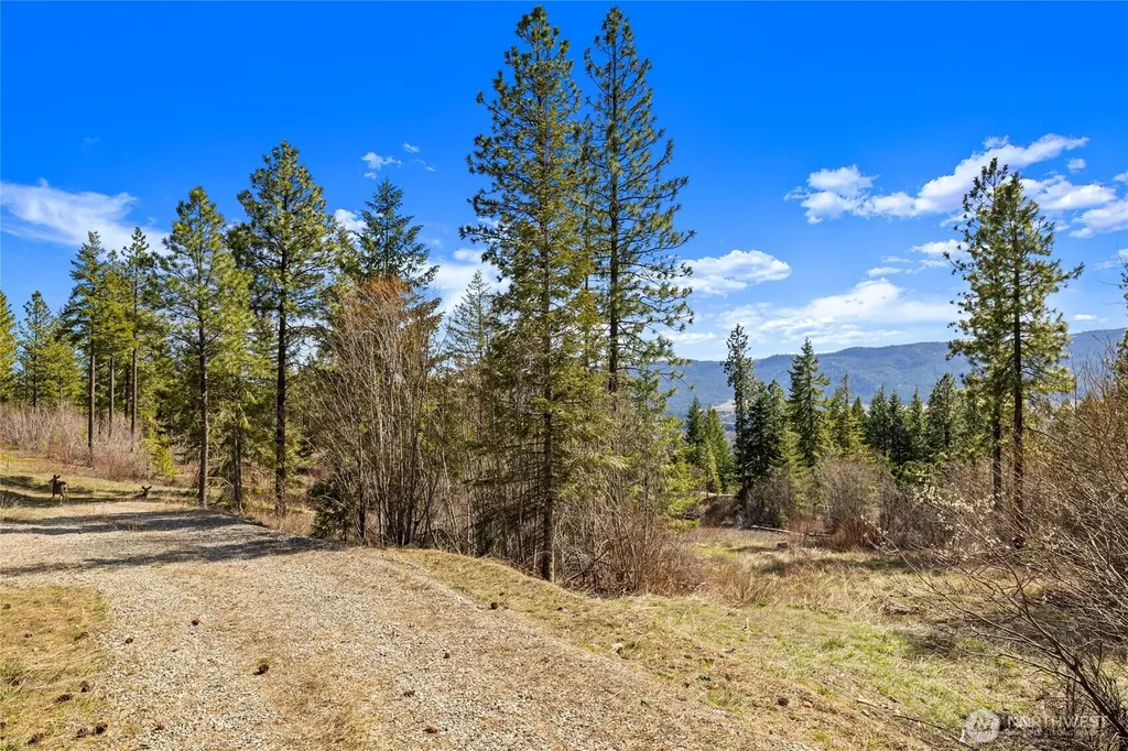 6 Forest Ridge (Lot 6) Drive Cle Elum WA 98922