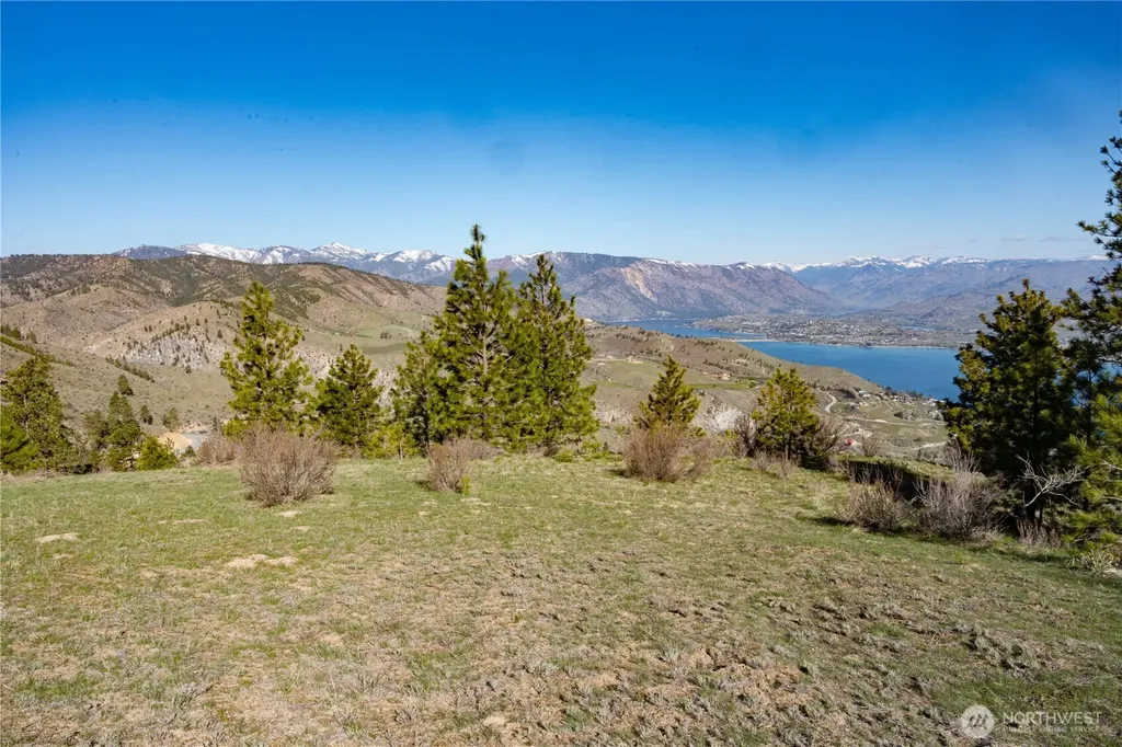 282 Hawks Ridge Road Chelan WA 98816