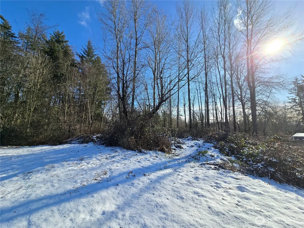 137 SE 202nd Place Kent WA 98042