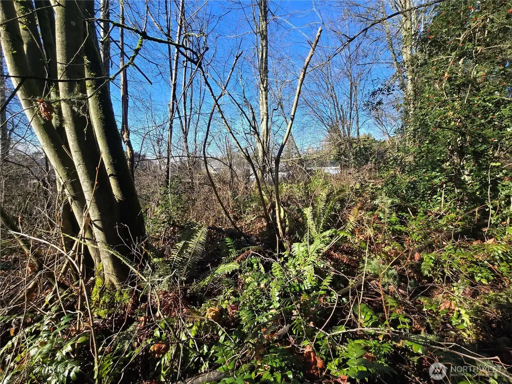 137 SE 202nd Place Kent WA 98042
