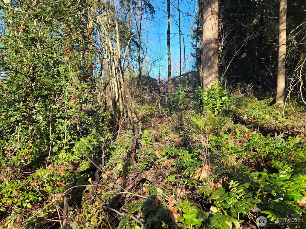 137 SE 202nd Place Kent WA 98042