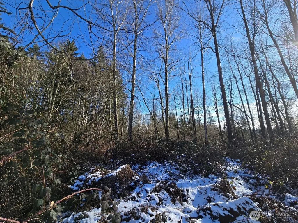 137 SE 202nd Place Kent WA 98042