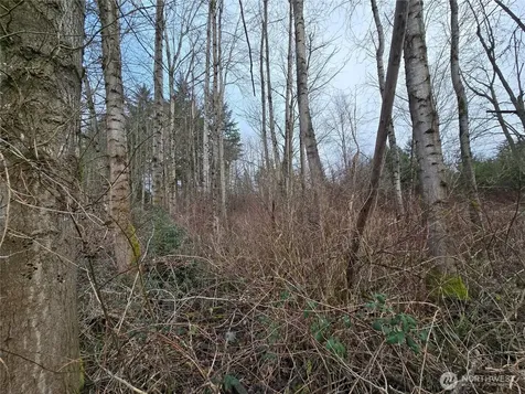 137 SE 202nd Place Kent WA 98042