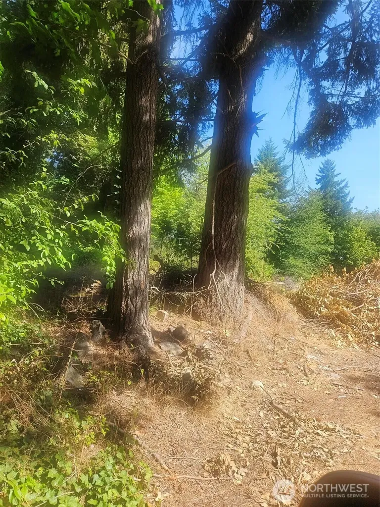 1083 Hull Avenue Port Orchard WA 98366