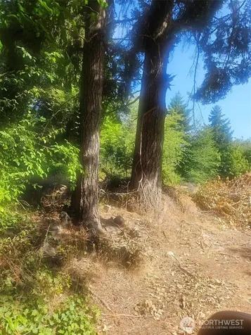 1083 Hull Avenue Port Orchard WA 98366