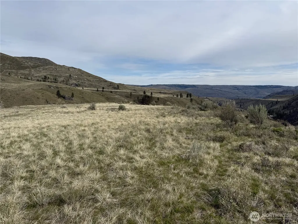 2830 Antoine Creek Road Chelan WA 98816