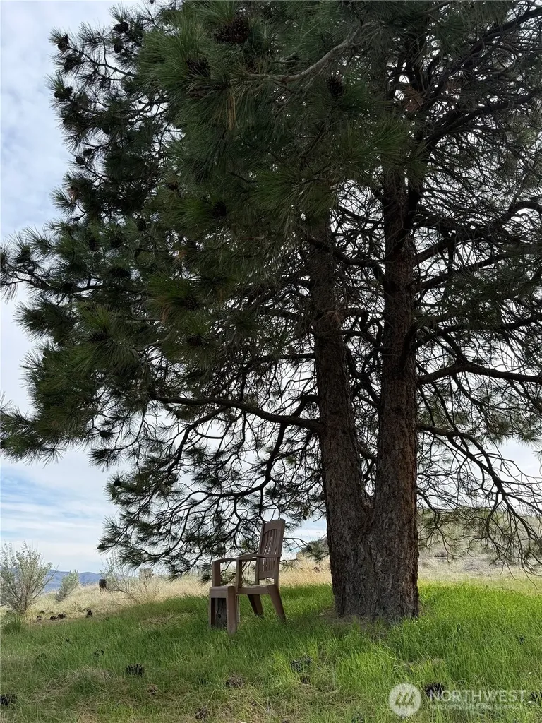 2830 Antoine Creek Road Chelan WA 98816