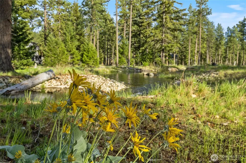 107 Wanawish Loop Cle Elum WA 98922