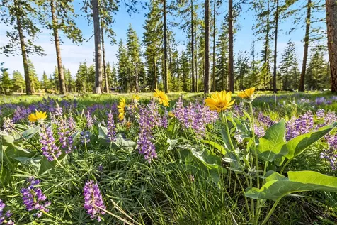 80 Wanawish Loop Cle Elum WA 98940