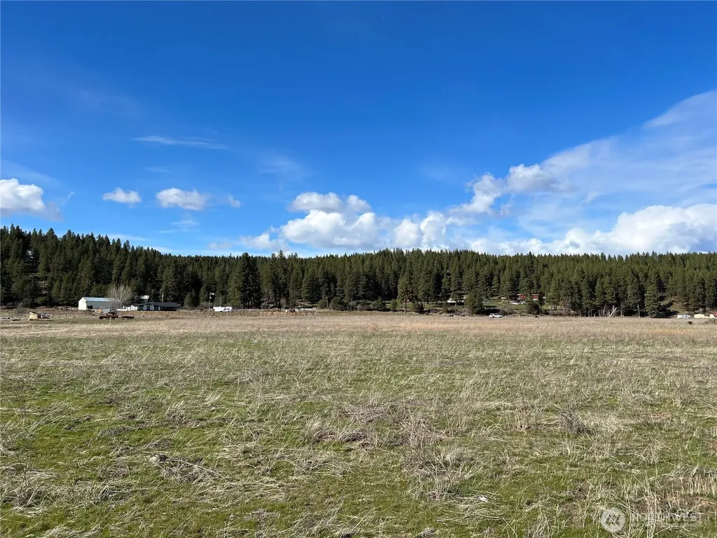 0 Red Bridge Road Cle Elum WA 98922