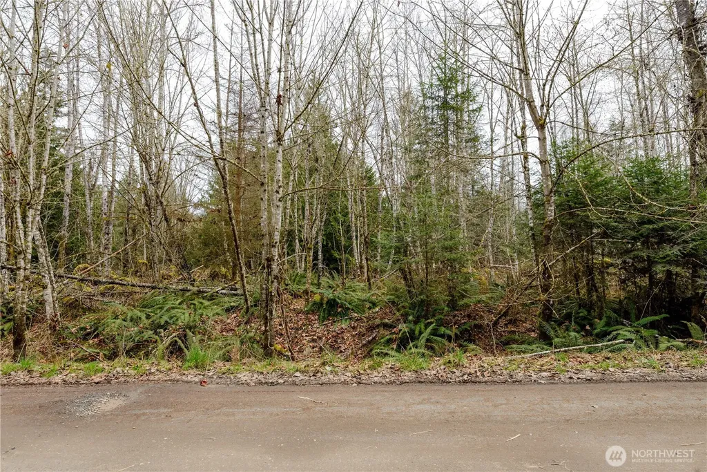 9999 Runamuck Lane Port Angeles WA 98362
