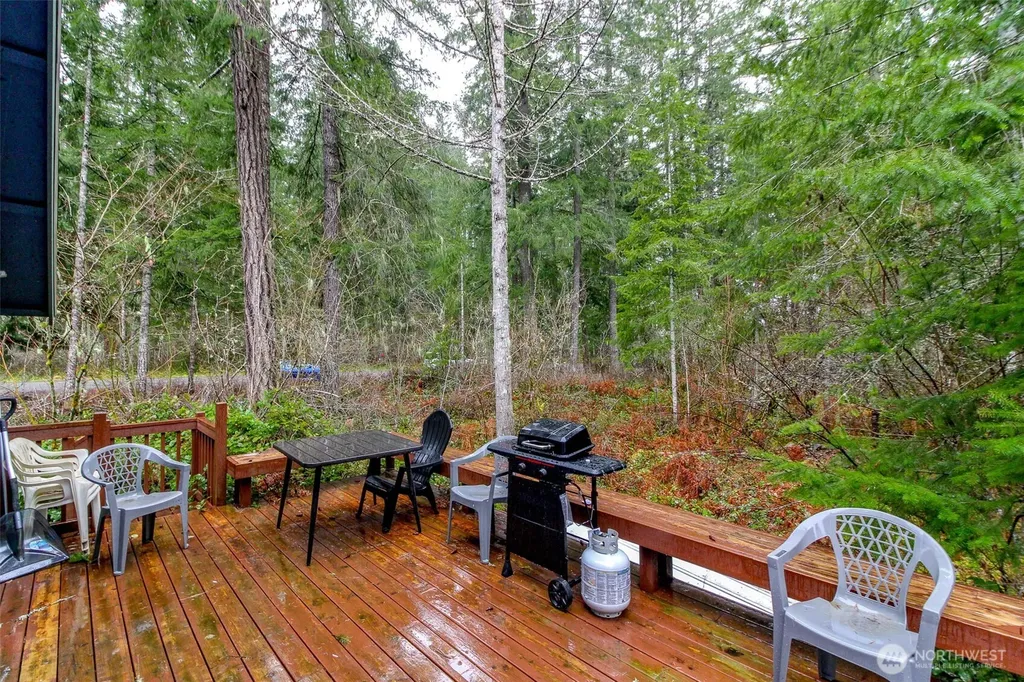 101 Mountain View Drive Ashford WA 98304