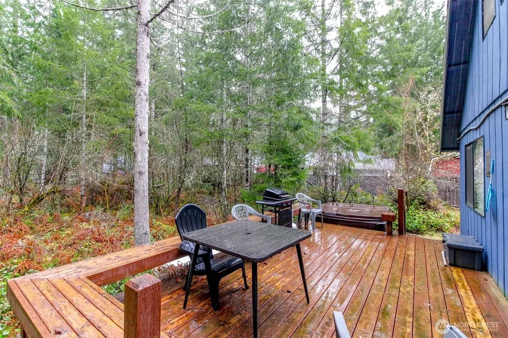 101 Mountain View Drive Ashford WA 98304