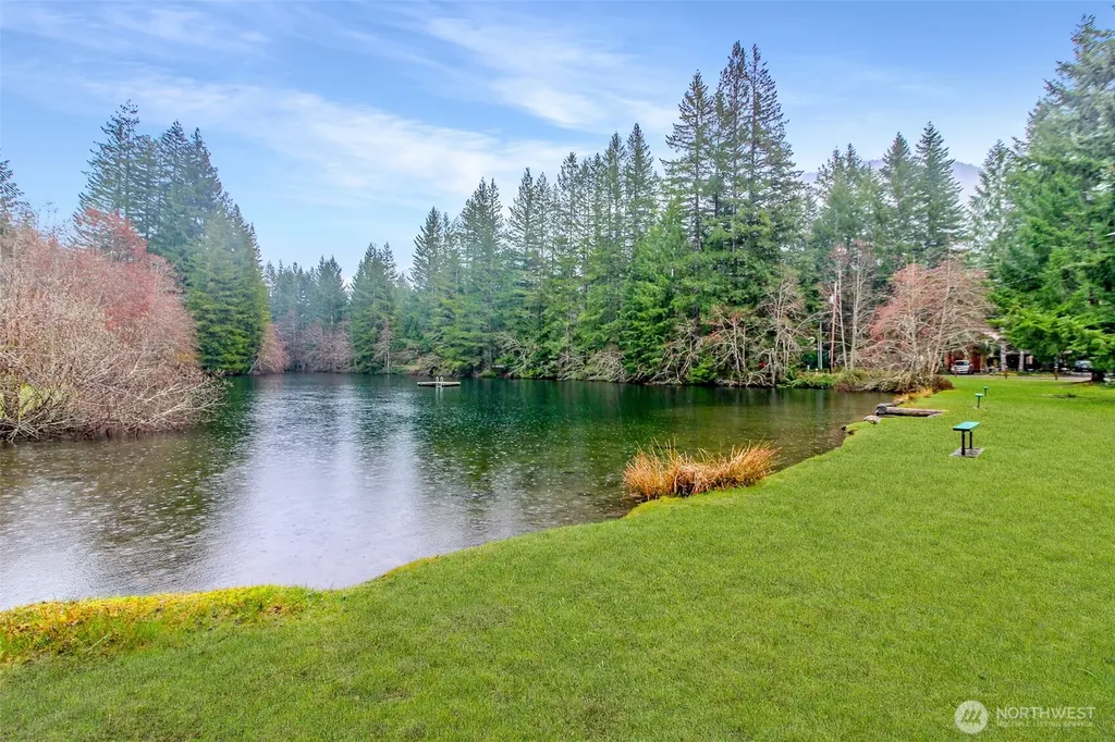 101 Mountain View Drive Ashford WA 98304