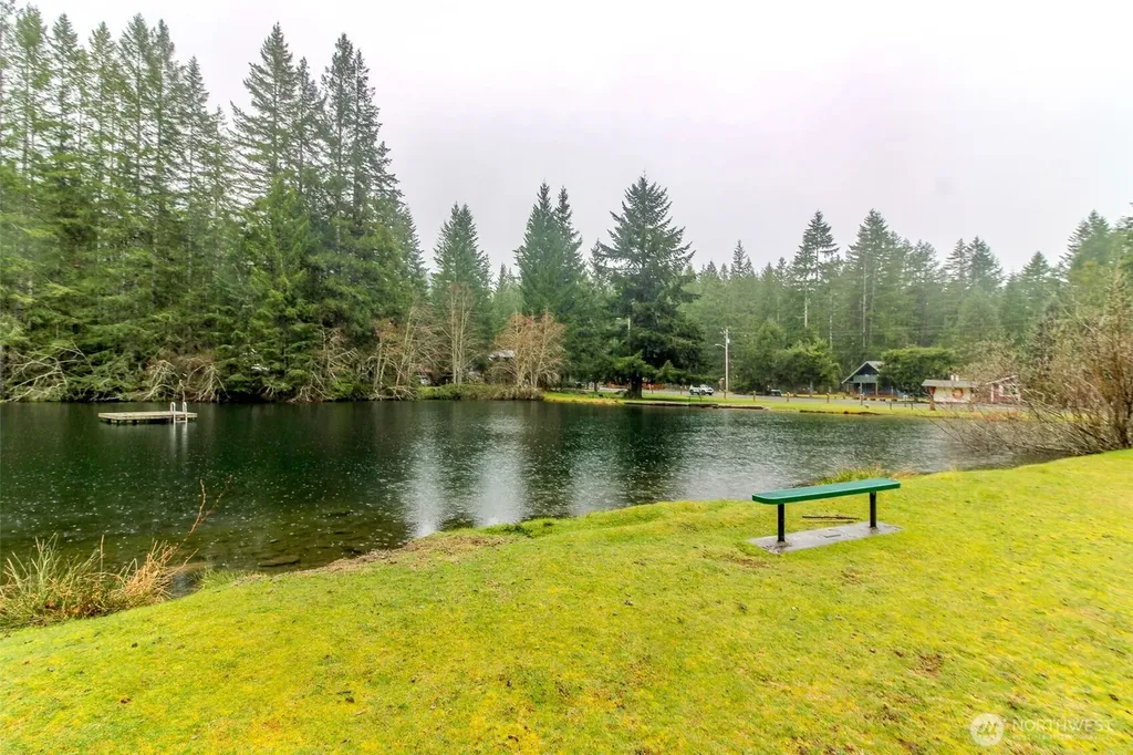 101 Mountain View Drive Ashford WA 98304