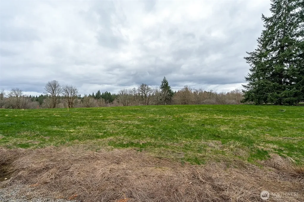 0 Birchfield Commons Onalaska WA 98570