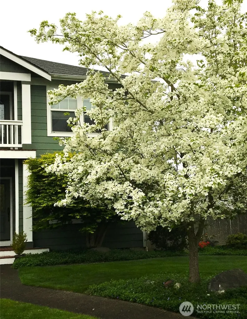 2245 Mcdonald Avenue Dupont WA 98327