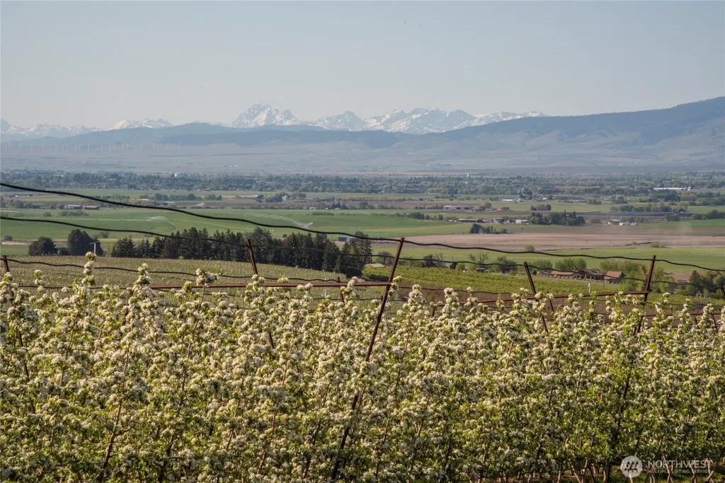 1677 Dodge Road Ellensburg WA 98926