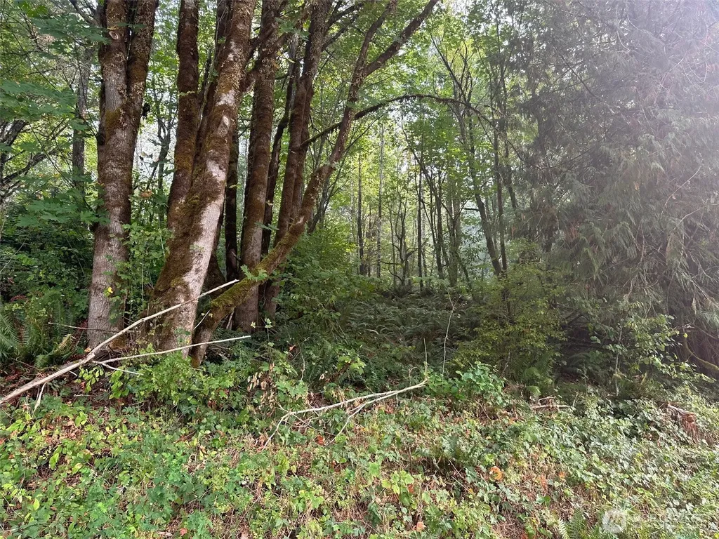 0 E Agate Road Shelton WA 98584