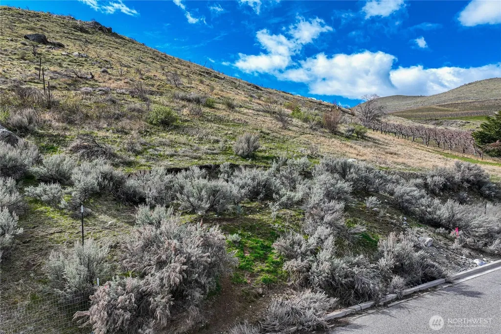 0 E Franklin Street Chelan WA 98816