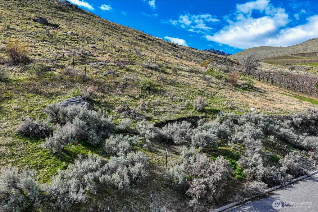 0 E Franklin Street Chelan WA 98816