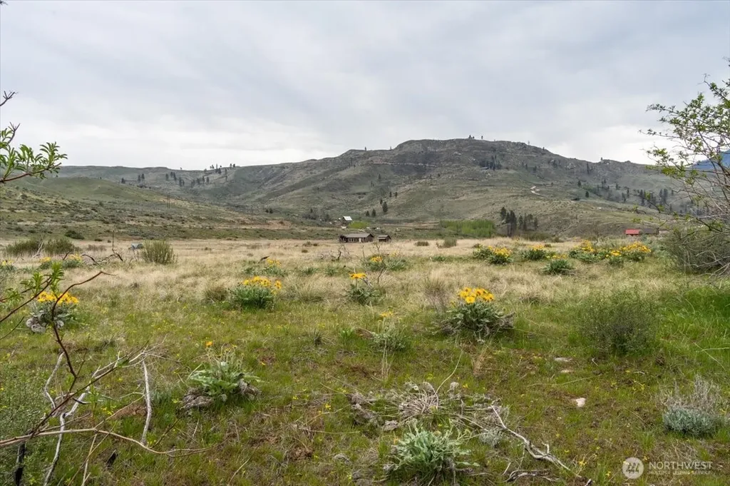 0 Brook Trout Lane Methow WA 98834