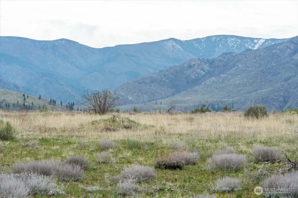 0 Brook Trout Lane Methow WA 98834