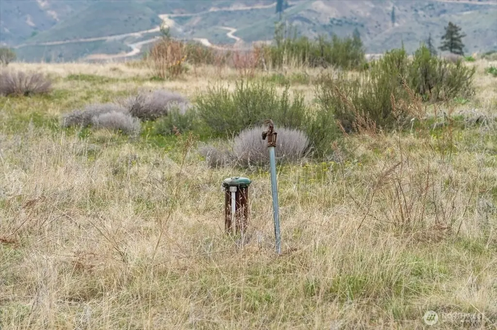 0 Brook Trout Lane Methow WA 98834