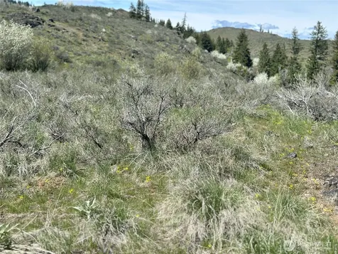 2 Alder Road Twisp WA 98856