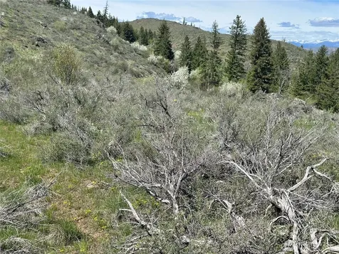 2 Alder Road Twisp WA 98856