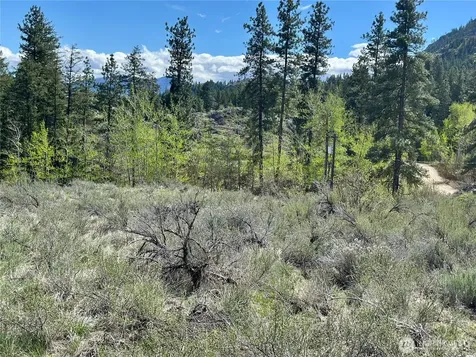 2 Alder Road Twisp WA 98856