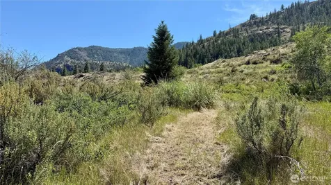2 Alder Road Twisp WA 98856