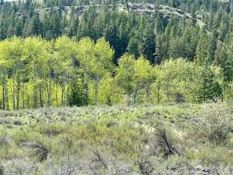 2 Alder Road Twisp WA 98856