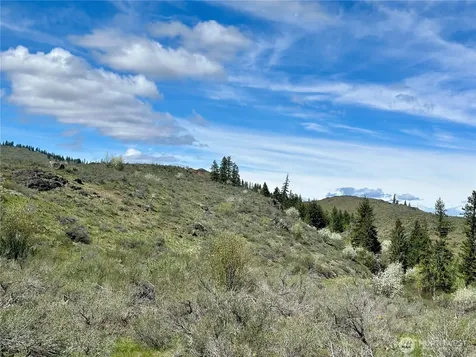 2 Alder Road Twisp WA 98856