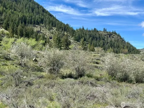 2 Alder Road Twisp WA 98856