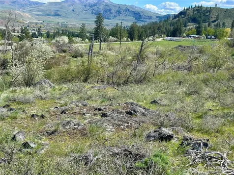 2 Alder Road Twisp WA 98856