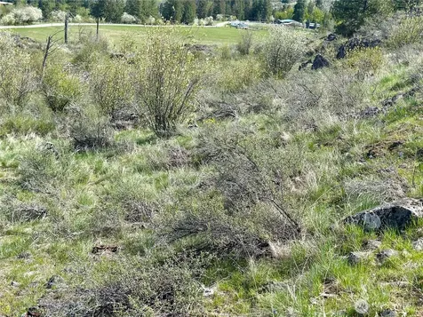 2 Alder Road Twisp WA 98856
