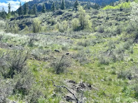 2 Alder Road Twisp WA 98856