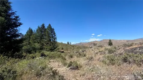 2 Alder Road Twisp WA 98856